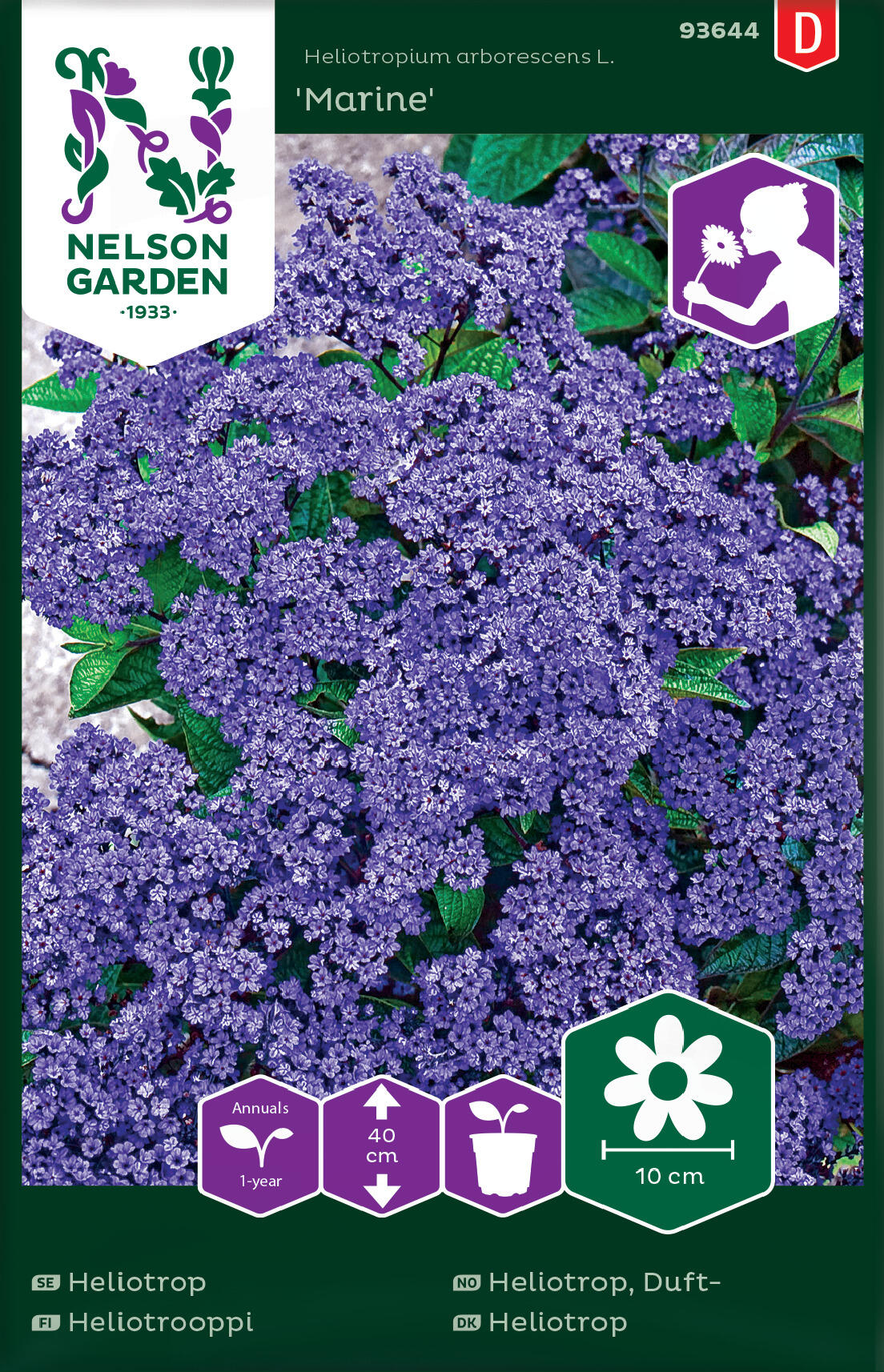 Dufteheliotrop 'Marine'